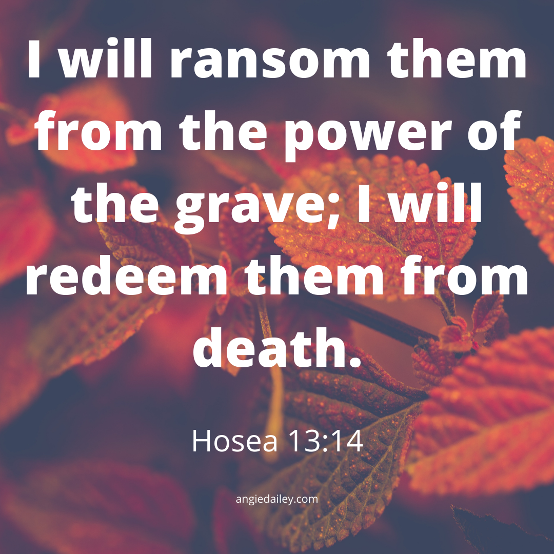 hosea 13-16 nkjv